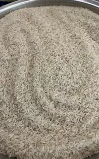 فروش  برنج دانه بلند باسماتی درجه یک پاکستانی