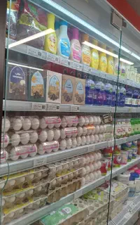 استخدام نیروی  آقا