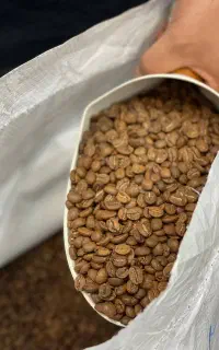 رستری و مرکز قهوه عمده و جزیی