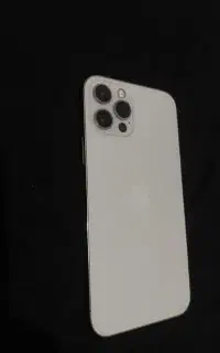 Apple12pro