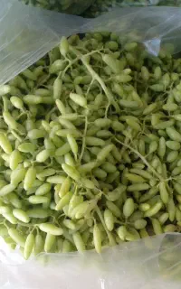 غوره عسکری
