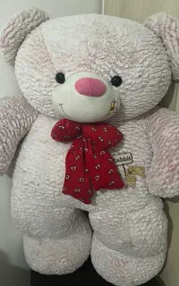 خرس بزرگ