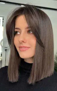 نیاز به مدل برای شنیون