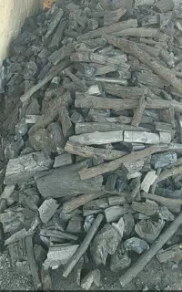 ذغال کبابی شرطی