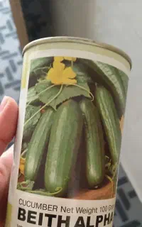 بذر خیار قوطی پلمپ ۱۰۰ گرمی بت آلفا