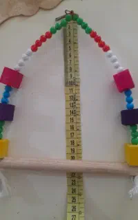 تاب پرندگان مزایده
