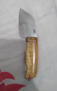 شاخ