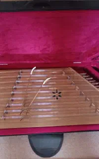 سنتور به همراه کتاب