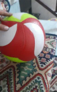 توپ والیبال فوکس