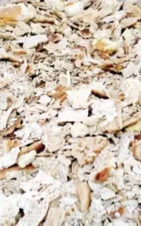 نون خشک تمیز بدون اشغال