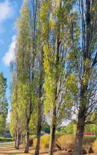 ایران گردی  و سفر