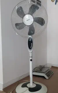 پنکه سانی