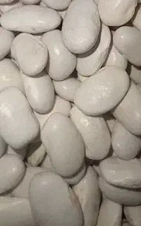 لوبیا فروشی