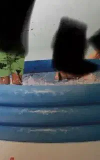 استخر اینتکس نو