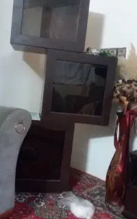 تمامشان