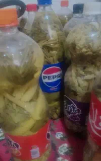 خیار شور