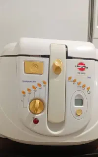 سرخ کن با روغن
