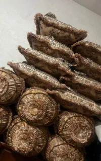 تعدادی بالش و پشتی