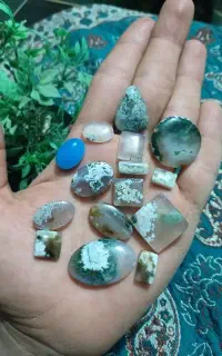 نگین شجر بهاره