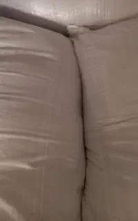 سبوس گندم