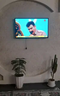 تلوزیون تی سی ال