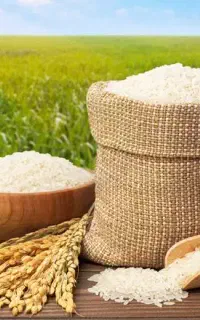 طارم فروشی