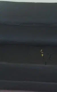 مبل ۷ نفره