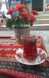 ترکیه مشغول شو