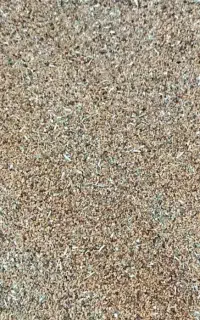 بذر یونجه