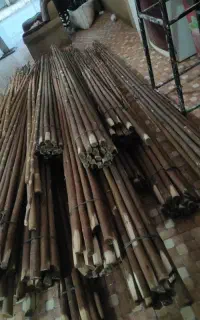 فروش چوب گردو تکانی ، جلد
