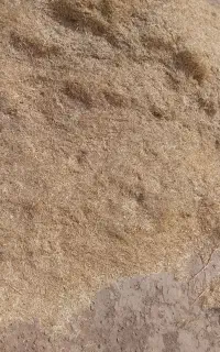 کاه سفید گندم وجو