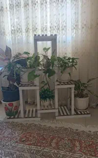 استند همراه با گل‌و گلدان