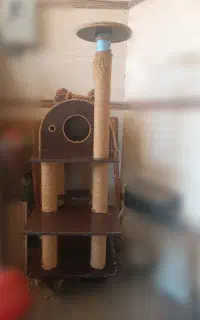 اسکرچر گربه