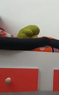 تخت وتشک