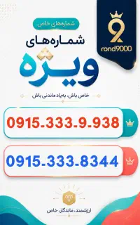 0915-333-9-938