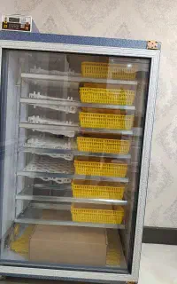 دستگاه جوجه کشی ۵۸۸ تائی