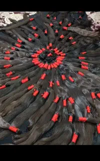 کارگاه تخصصی مو