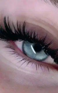 کاشت مژه موقت لیفت ابرو مژه / با ماندگاری بالا