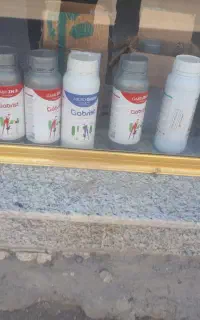 کودگابریست ارگانیک