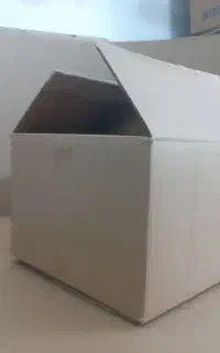 کارتن اسباب کشی