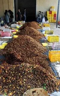 خرما در منزل