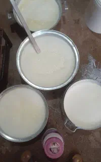 لبنیاتی
