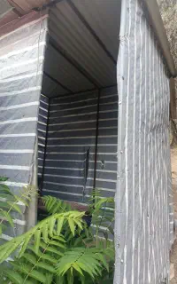 آلاچیق