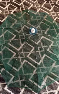طورگرگور