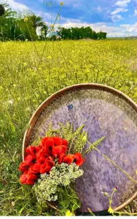 اموزش دف و دایره تنپو