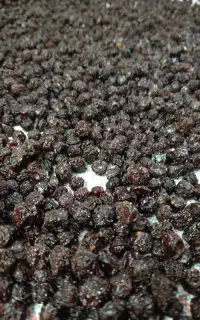 آلبالو خشک