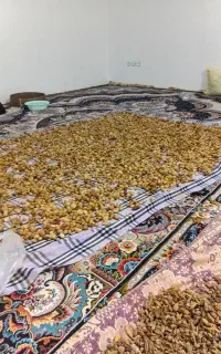 ثعلب