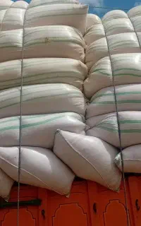 کاه گندم