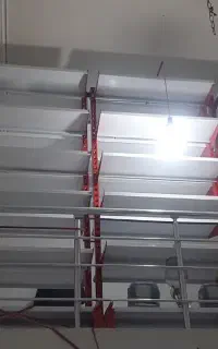 قفسه