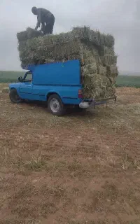 نیسان حمل بار گندم جو و یونجه و...